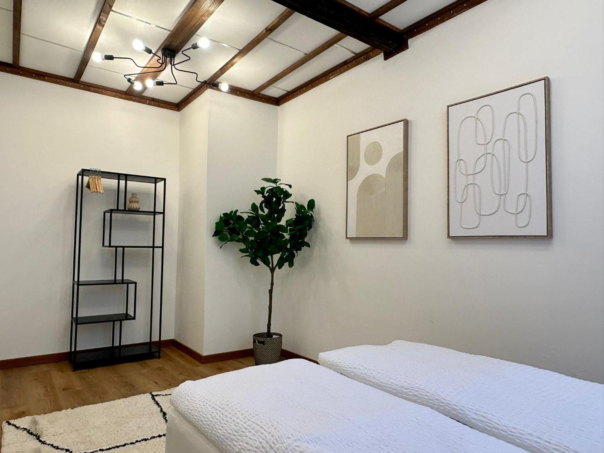 Hidden Garden - Spacious Modern - 1 Min To City Shuttle * Vienne